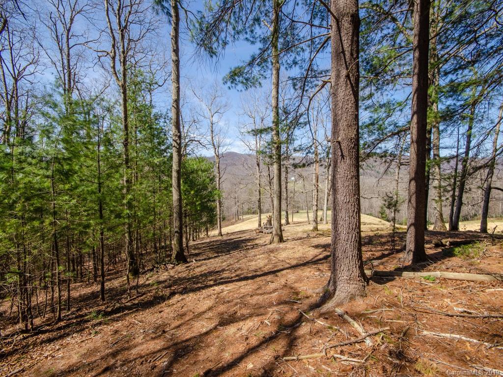 0 Dula Road Spruce Pine, NC 28777 - Photo 1 of 19 Gallery Image 1