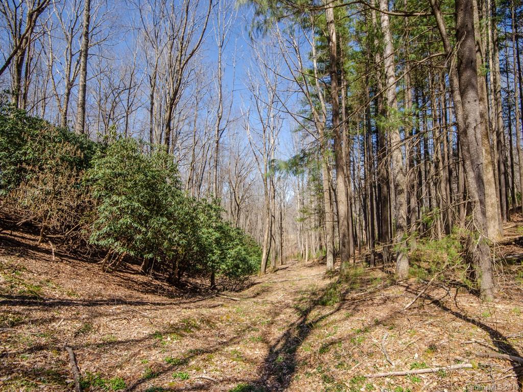 0 Dula Road Spruce Pine, NC 28777 - Photo 12 of 19 Gallery Image 12