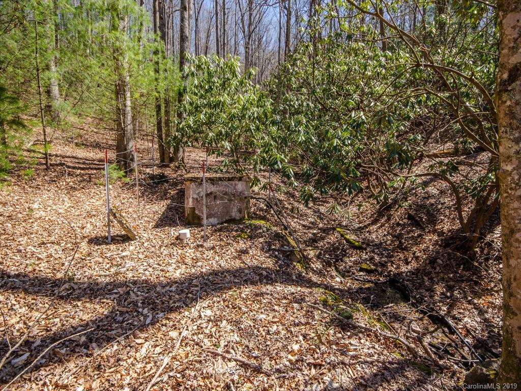 0 Dula Road Spruce Pine, NC 28777 - Photo 13 of 19 Gallery Image 13