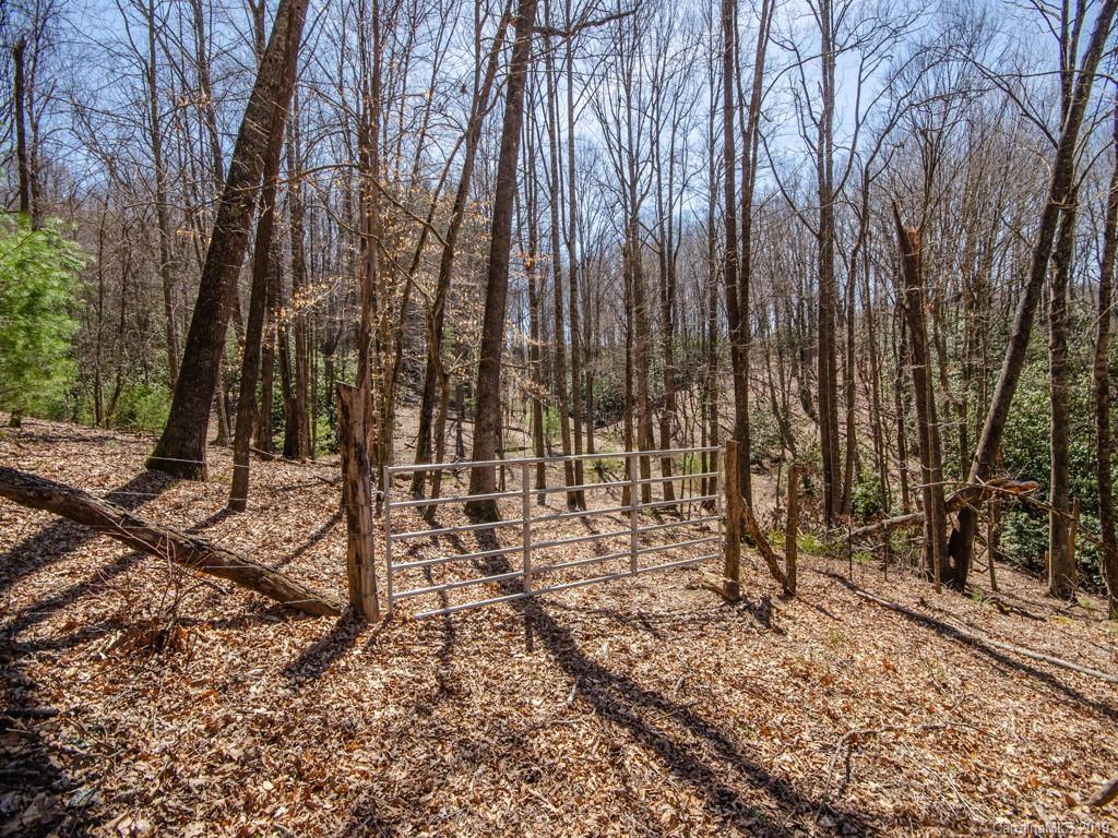 0 Dula Road Spruce Pine, NC 28777 - Photo 14 of 19 Gallery Image 14