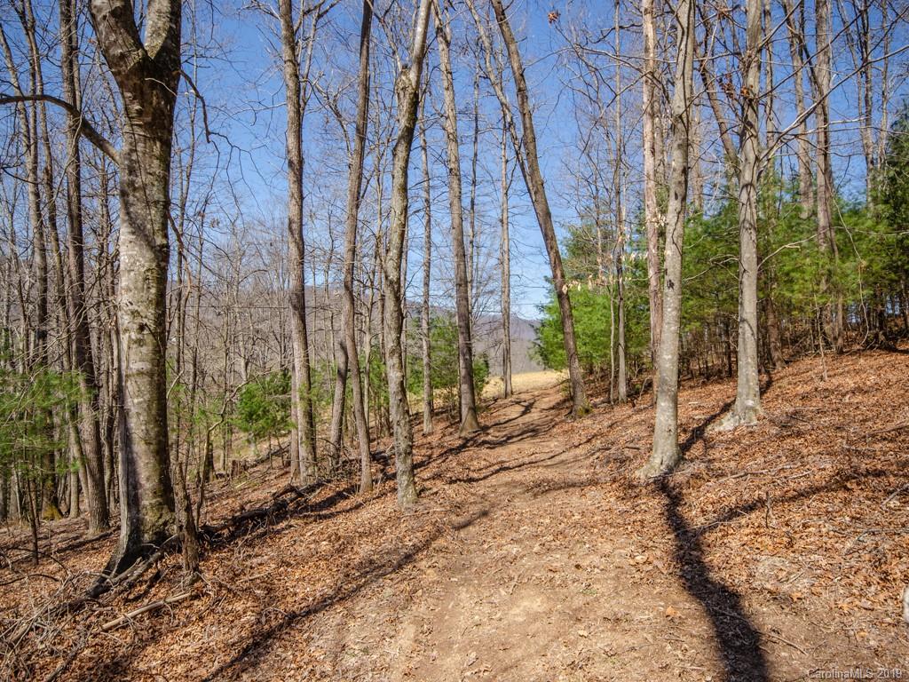 0 Dula Road Spruce Pine, NC 28777 - Photo 15 of 19 Gallery Image 15