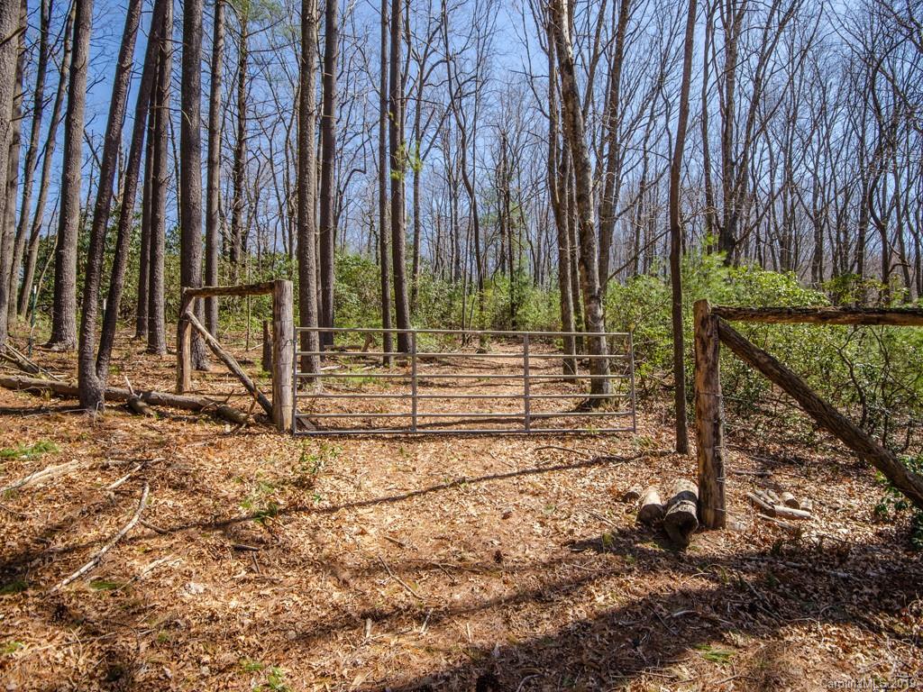 0 Dula Road Spruce Pine, NC 28777 - Photo 7 of 19 Gallery Image 7