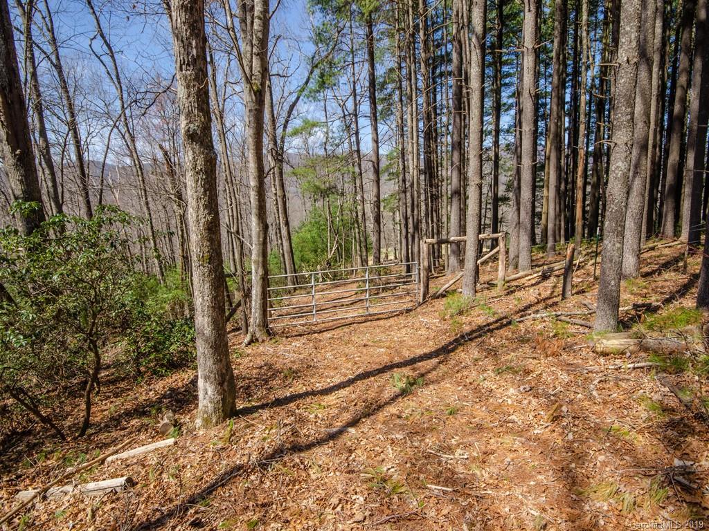 0 Dula Road Spruce Pine, NC 28777 - Photo 8 of 19 Gallery Image 8