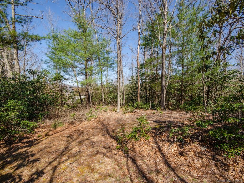 0 Dula Road Spruce Pine, NC 28777 - Photo 9 of 19 Gallery Image 9