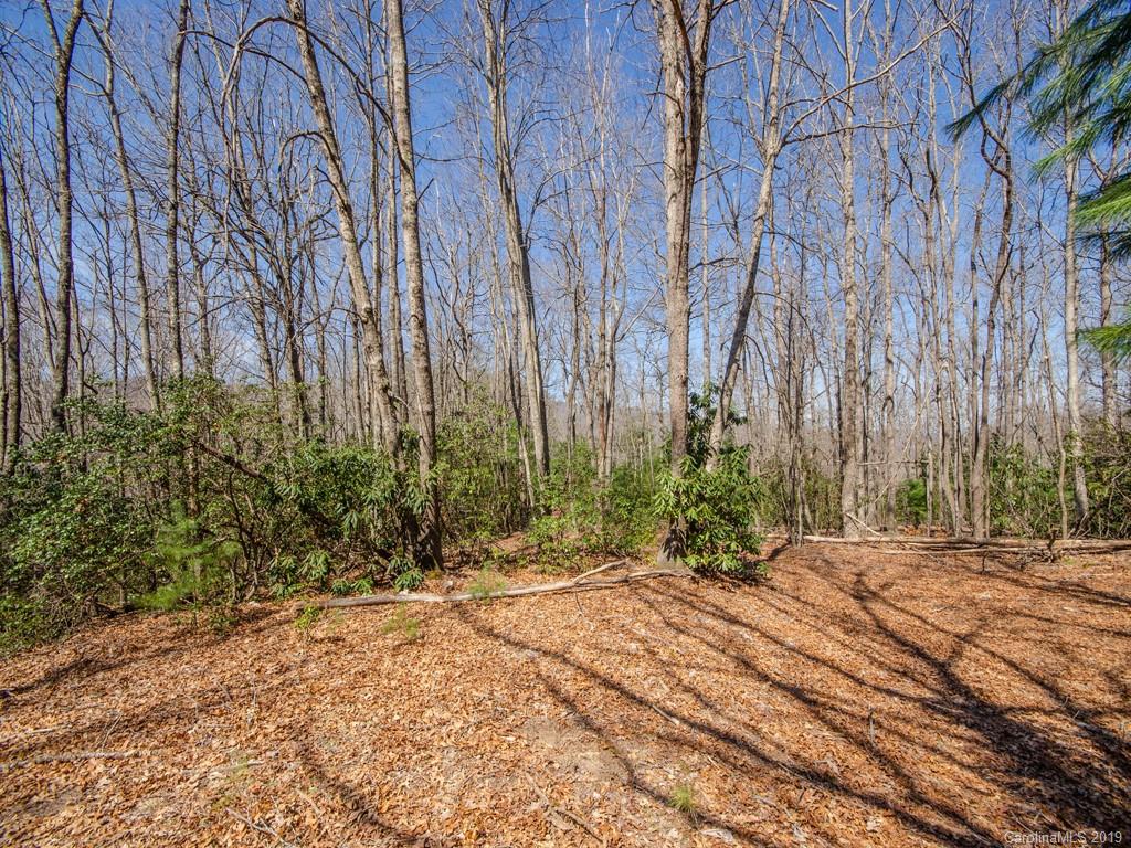 0 Dula Road Spruce Pine, NC 28777 - Photo 10 of 19 Gallery Image 10