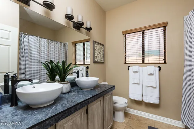 a view of a bathroom with a potted plant on the counter and mirror