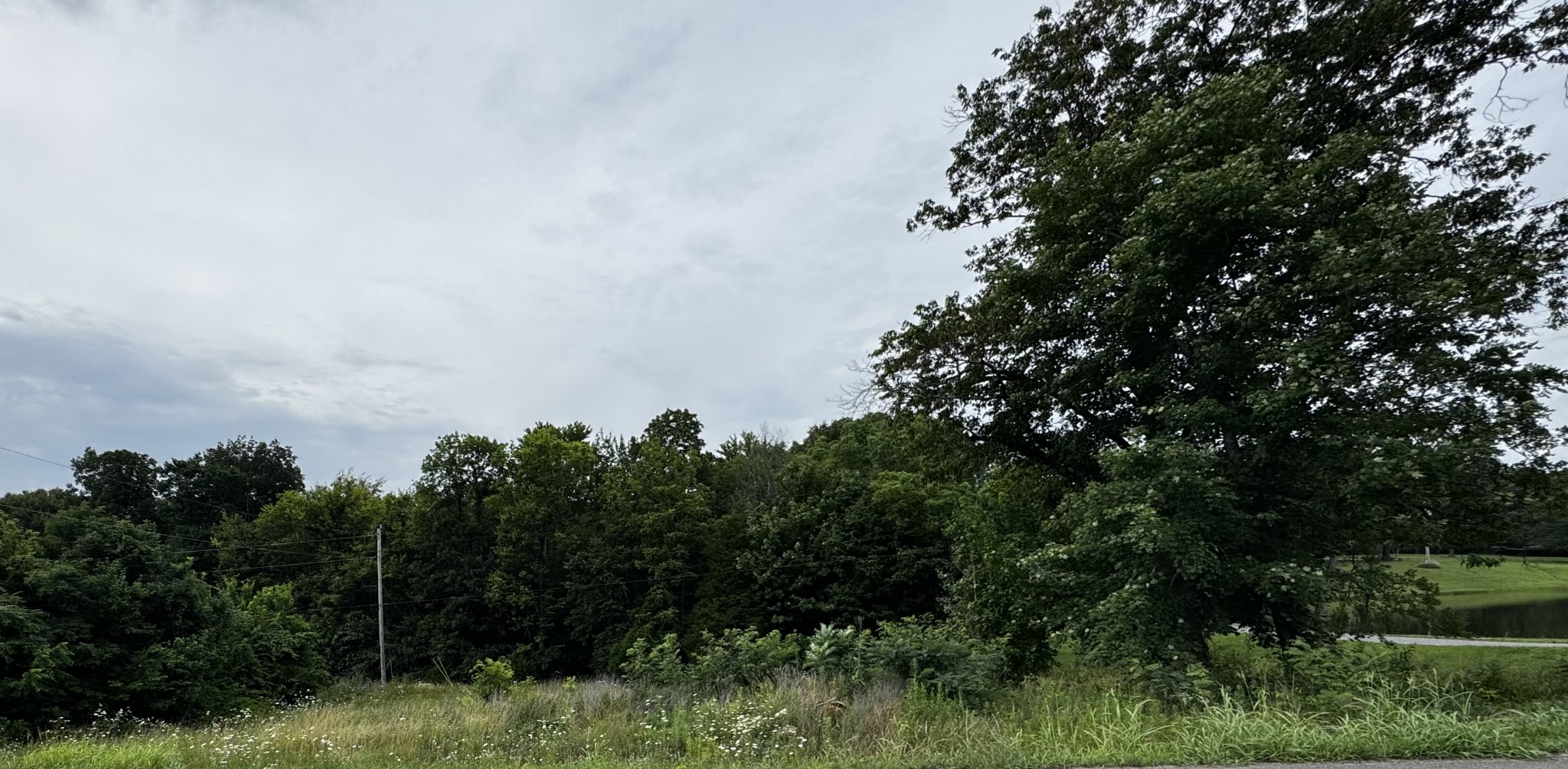 0 Campbell Road Cross Plains, TN 37049 - Photo 5 of 8