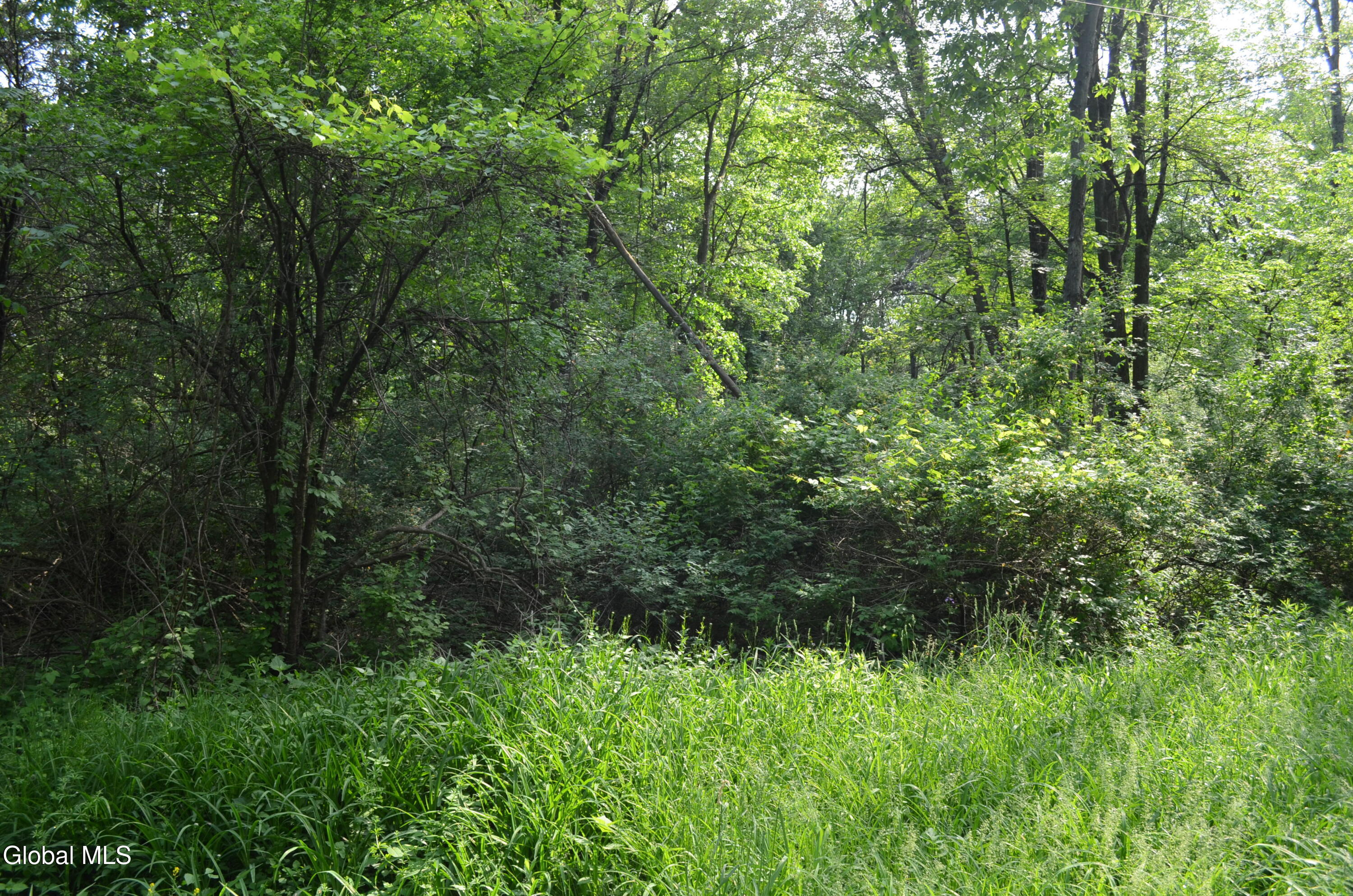 9 Cedar Road Bethlehem, NY 12158 - Photo 1 of 5 9 cedar