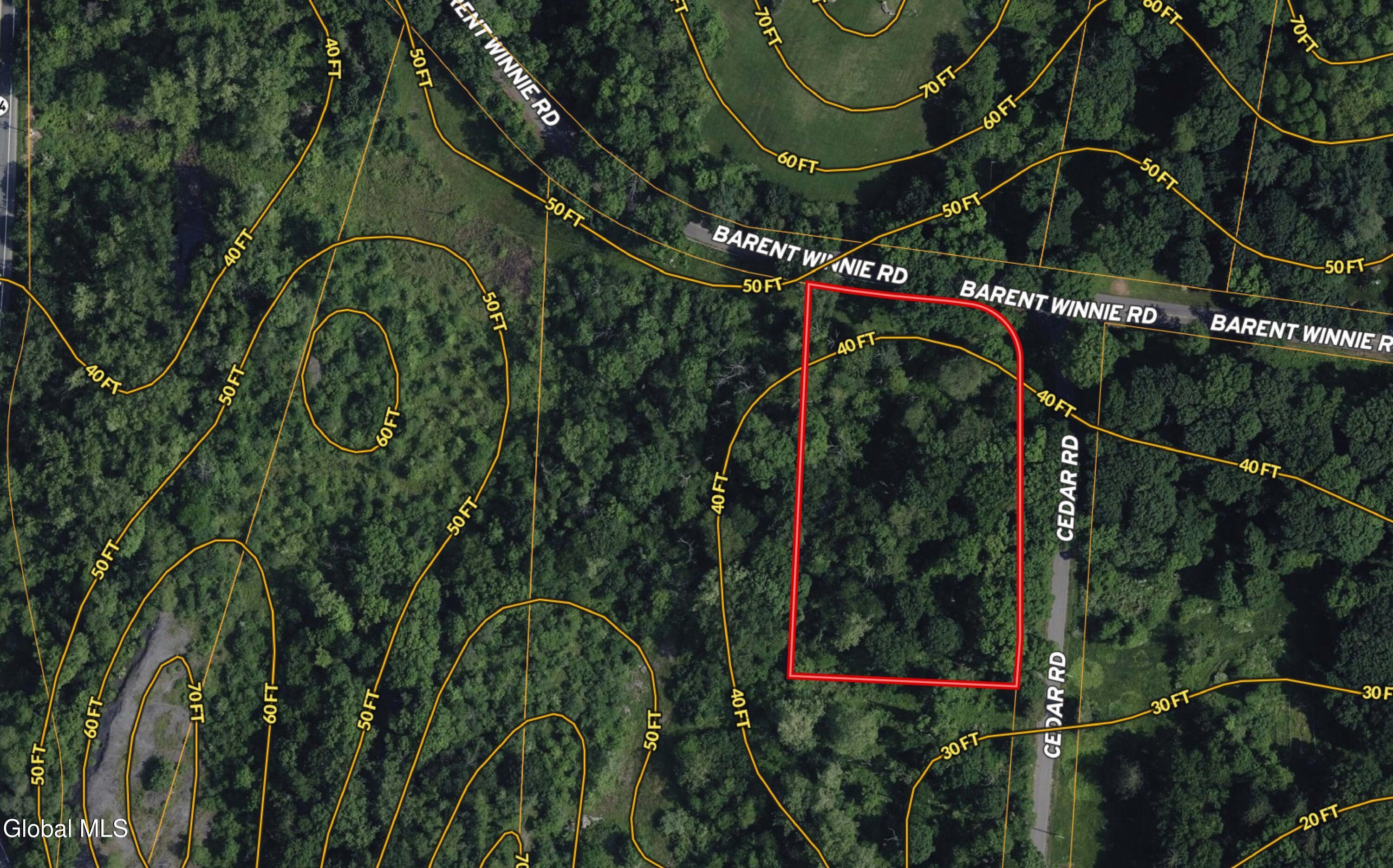 9 Cedar Road Bethlehem, NY 12158 - Photo 5 of 5 9 Cedar Contour map