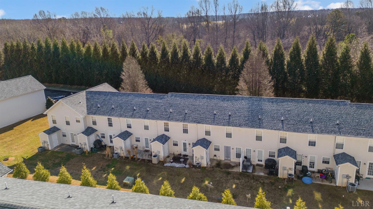 1202 Blue Ridge View Circle Forest, VA 24551 - Photo 28 of 35