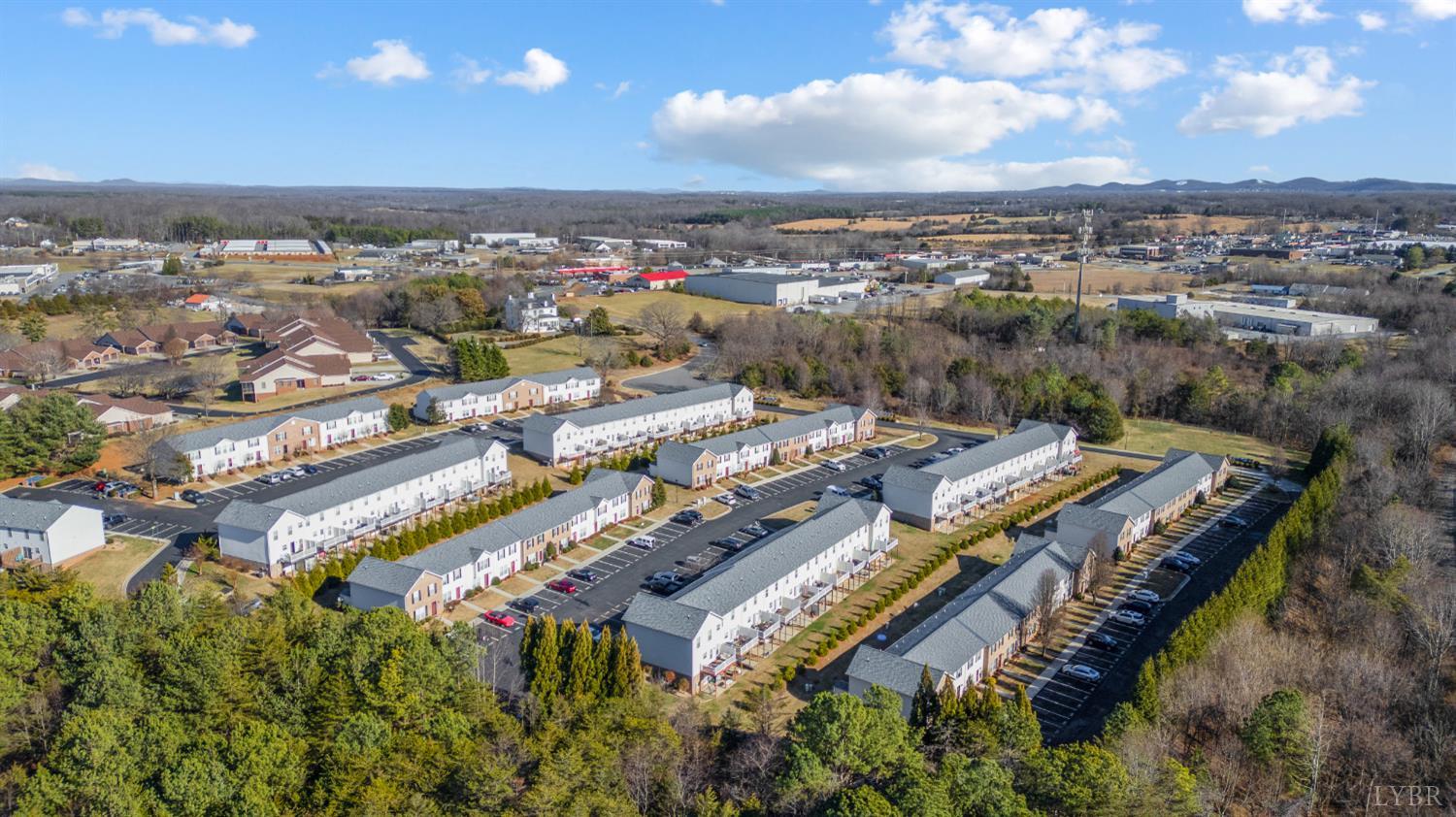 1202 Blue Ridge View Circle Forest, VA 24551 - Photo 30 of 35