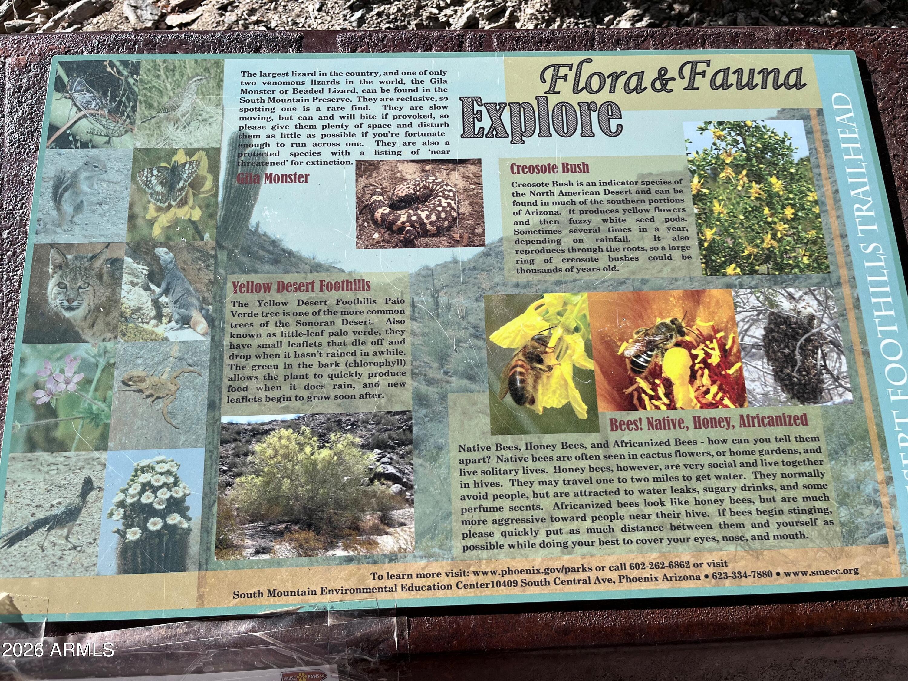 1024 East Frye Road, Unit 1060 Phoenix, AZ 85048 - Photo 45 of 46 FLORA & FAUNA INFO