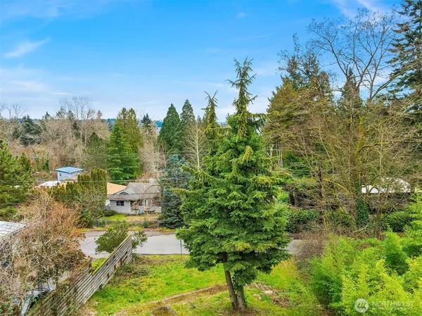 a view of a yard with plants and trees