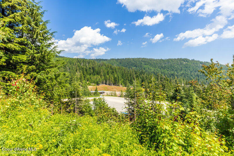 614 Telemark Road Sandpoint, ID 83864 - Photo 12 of 34 Parcel
