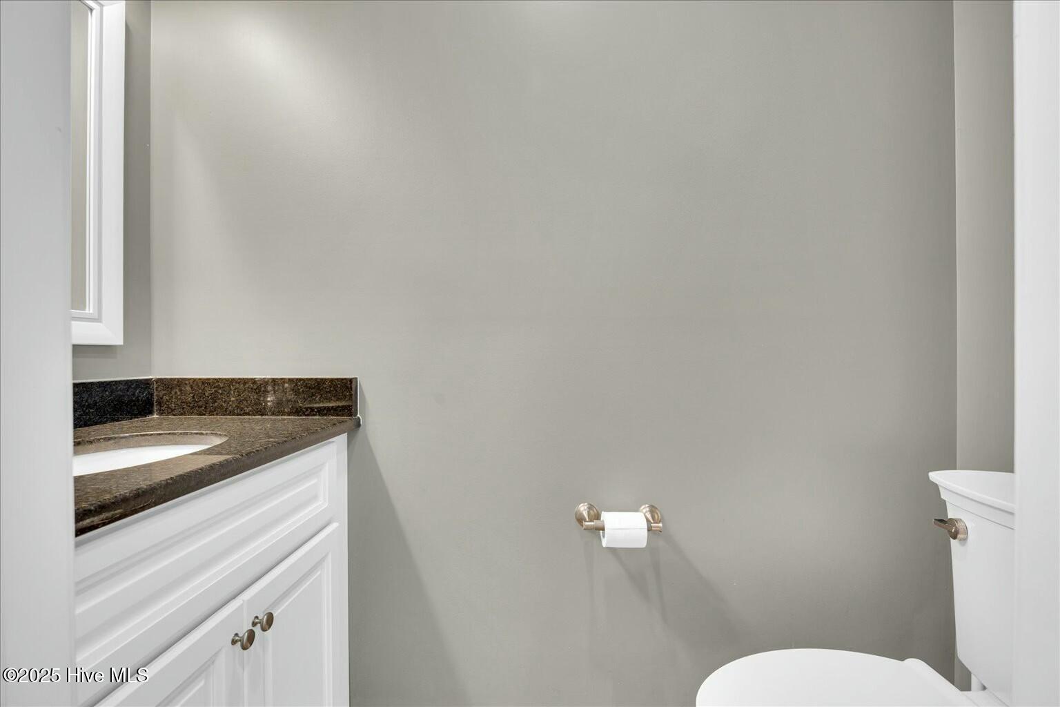 7384 Ruby Stone Court Leland, NC 28451 - Photo 30 of 41 tempImageyaBYdl