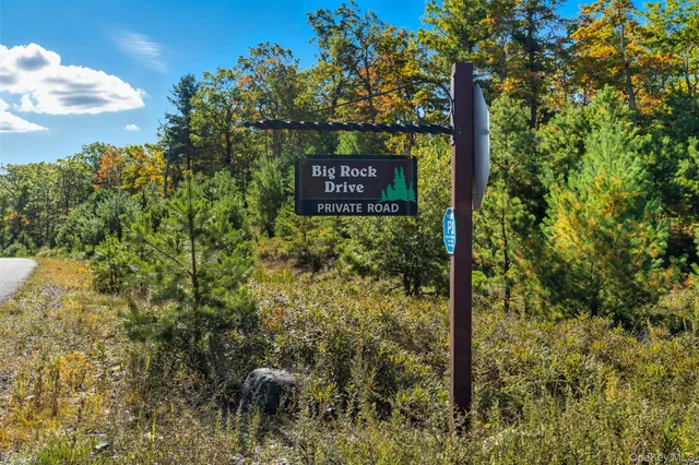 a view of a forest with a tree park