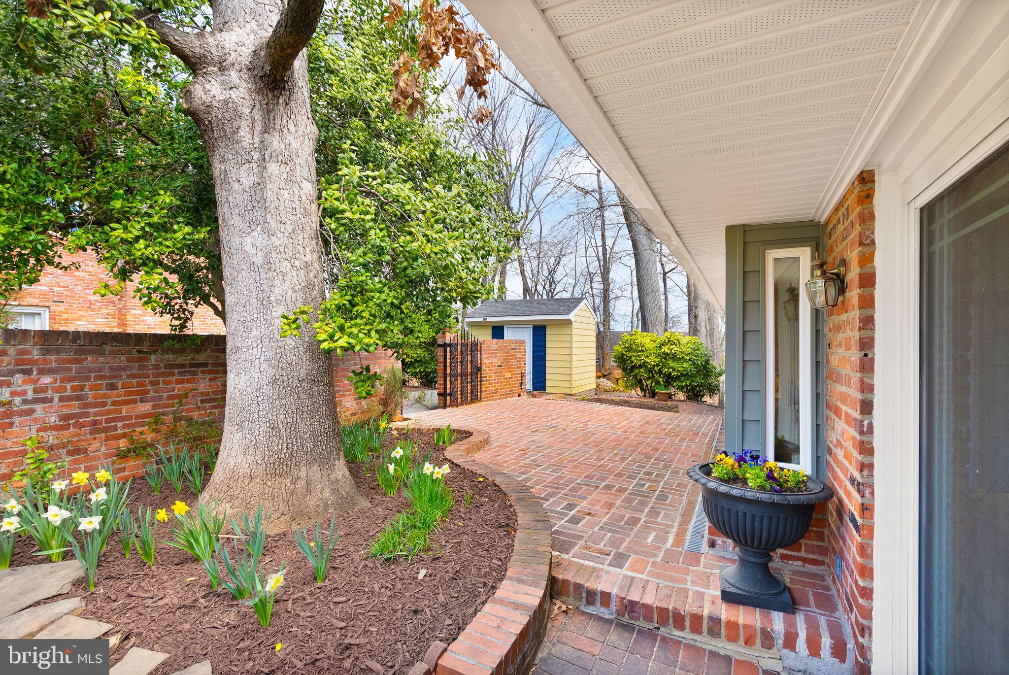 3802 Cameron Mills Road Alexandria, VA 22305 - Photo 50 of 64 Walk-Out Brick Patio and Walls