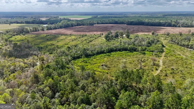 $122,000 | Tract 3 Pine Cone Trail, Mershon, GA 31551