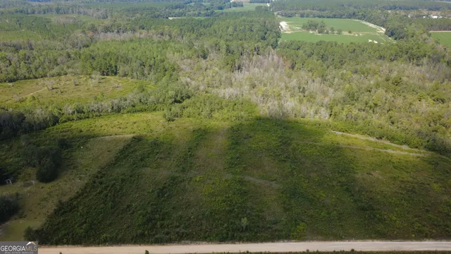 $122,000 | Tract 3 Pine Cone Trail, Mershon, GA 31551