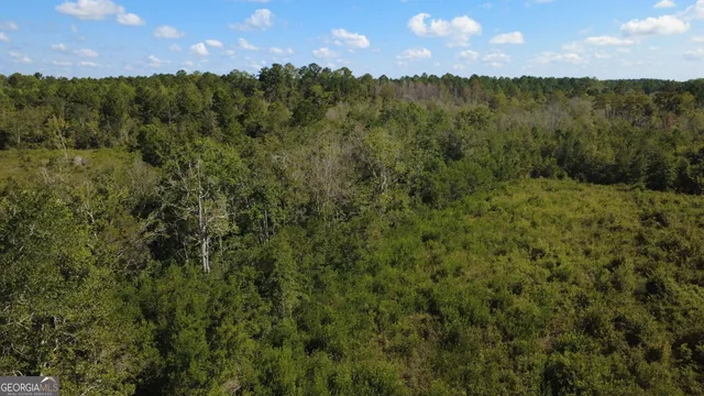 $122,000 | Tract 3 Pine Cone Trail, Mershon, GA 31551