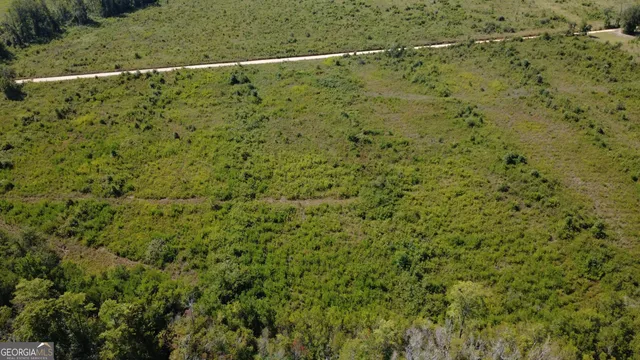 $122,000 | Tract 3 Pine Cone Trail, Mershon, GA 31551