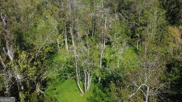 $122,000 | Tract 3 Pine Cone Trail, Mershon, GA 31551