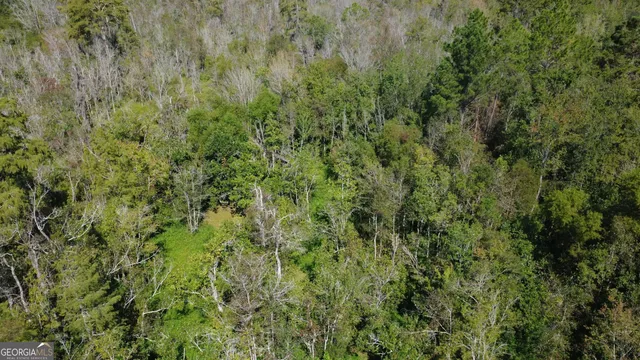 $122,000 | Tract 3 Pine Cone Trail, Mershon, GA 31551