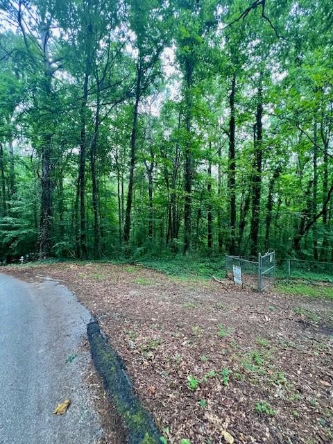 660 Hickory 3 Contiguous Trail Southeast Mableton, GA 30126 - Photo 30 of 35 a view of a yard with trees in the background