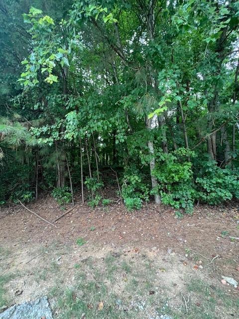 660 Hickory 3 Contiguous Trail Southeast Mableton, GA 30126 - Photo 34 of 35 a view of a forest