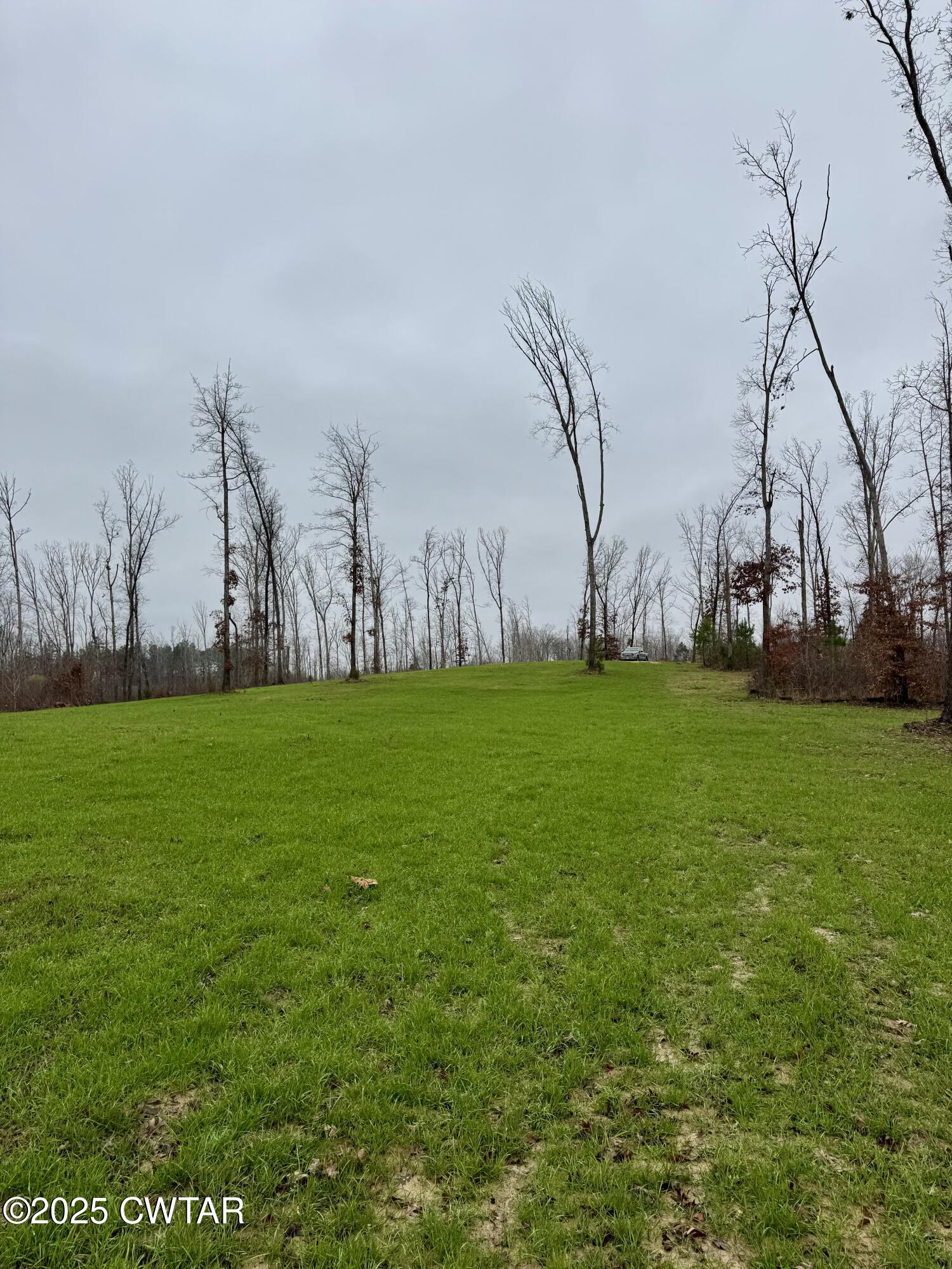 7900 Brooksie Thompson Road Bath Springs, TN 38311 - Photo 2 of 9 a view of yard with trees and grass