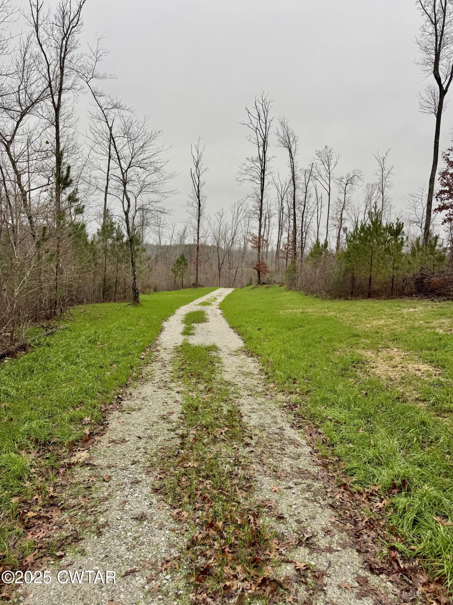 7900 Brooksie Thompson Road Bath Springs, TN 38311 - Photo 3 of 9 a view of a park with large trees