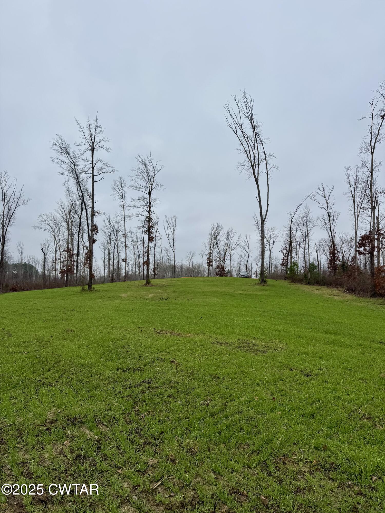 7900 Brooksie Thompson Road Bath Springs, TN 38311 - Photo 5 of 9 a garden view