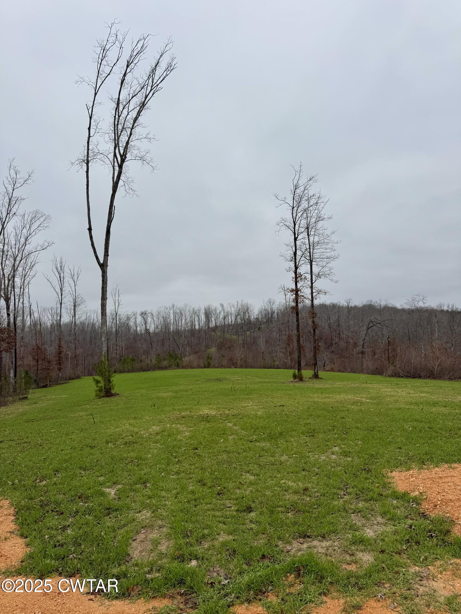 7900 Brooksie Thompson Road Bath Springs, TN 38311 - Photo 7 of 9 a view of a field with an trees