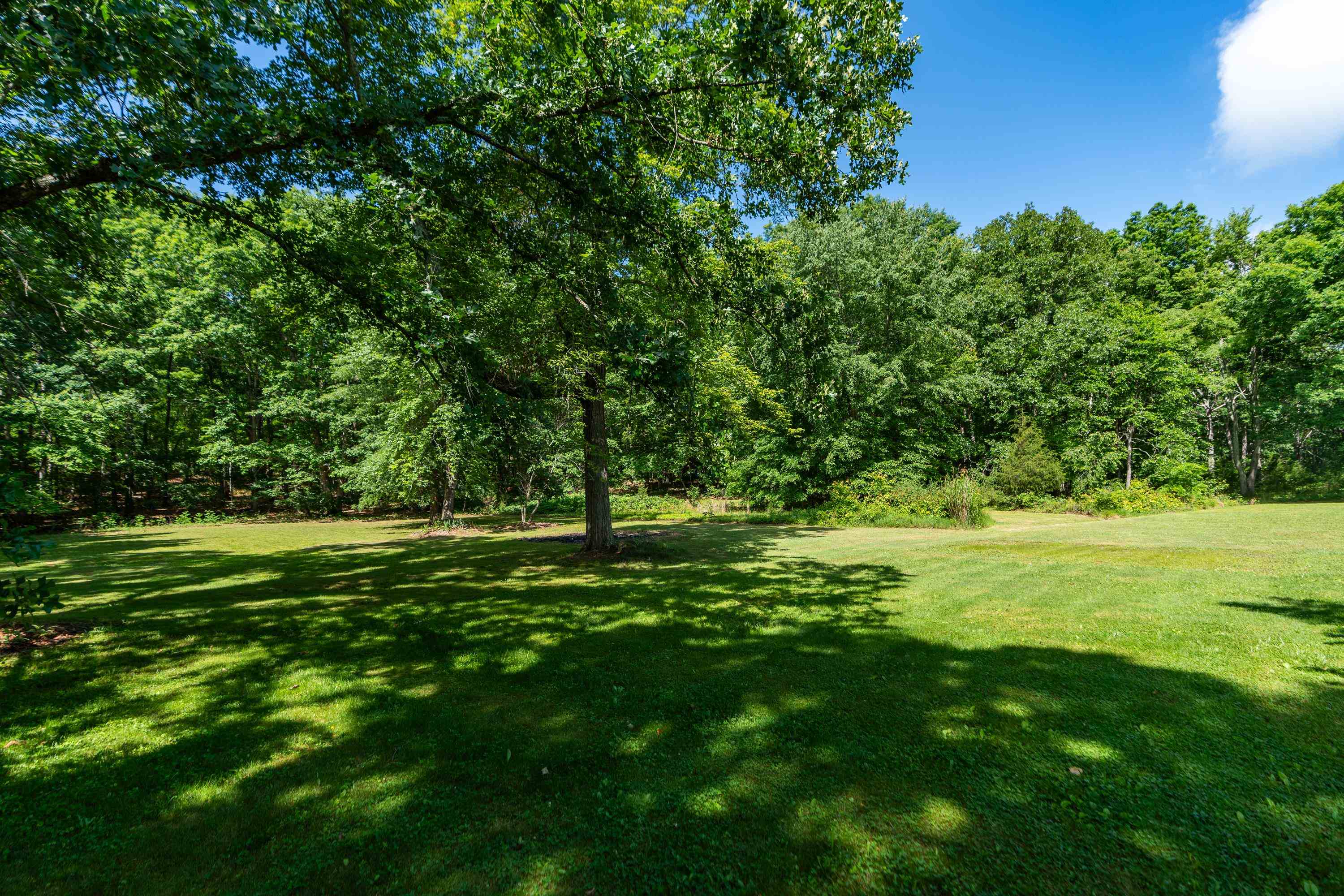 457 Sandy Ridge Road Waynesboro, VA 22980 - Photo 9 of 57 Gallery Image 9