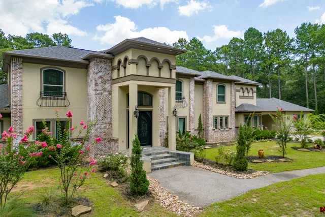 a view of a house with potted plants and a fireplace