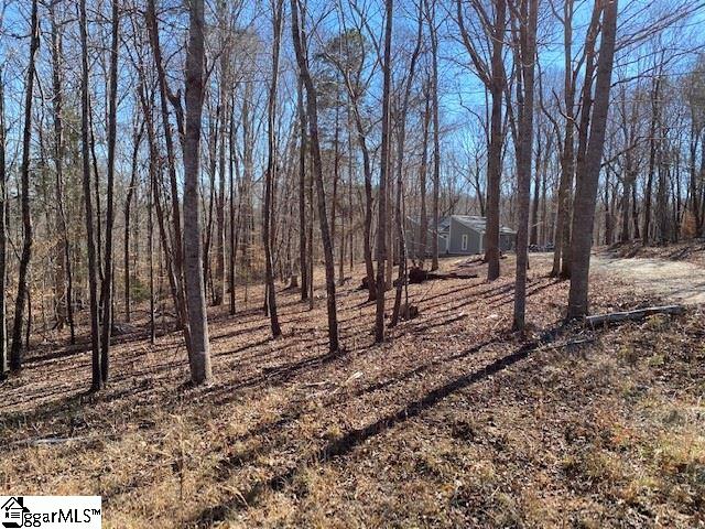 206 Crest Road Gray Court, SC 29645 - Photo 1 of 25
