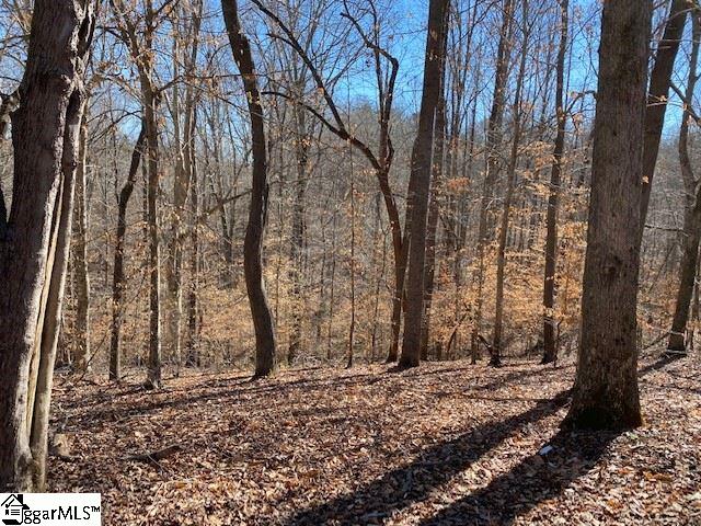 206 Crest Road Gray Court, SC 29645 - Photo 23 of 25