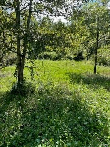 1 North Milford Road Highland, MI 48357 - Photo 8 of 11