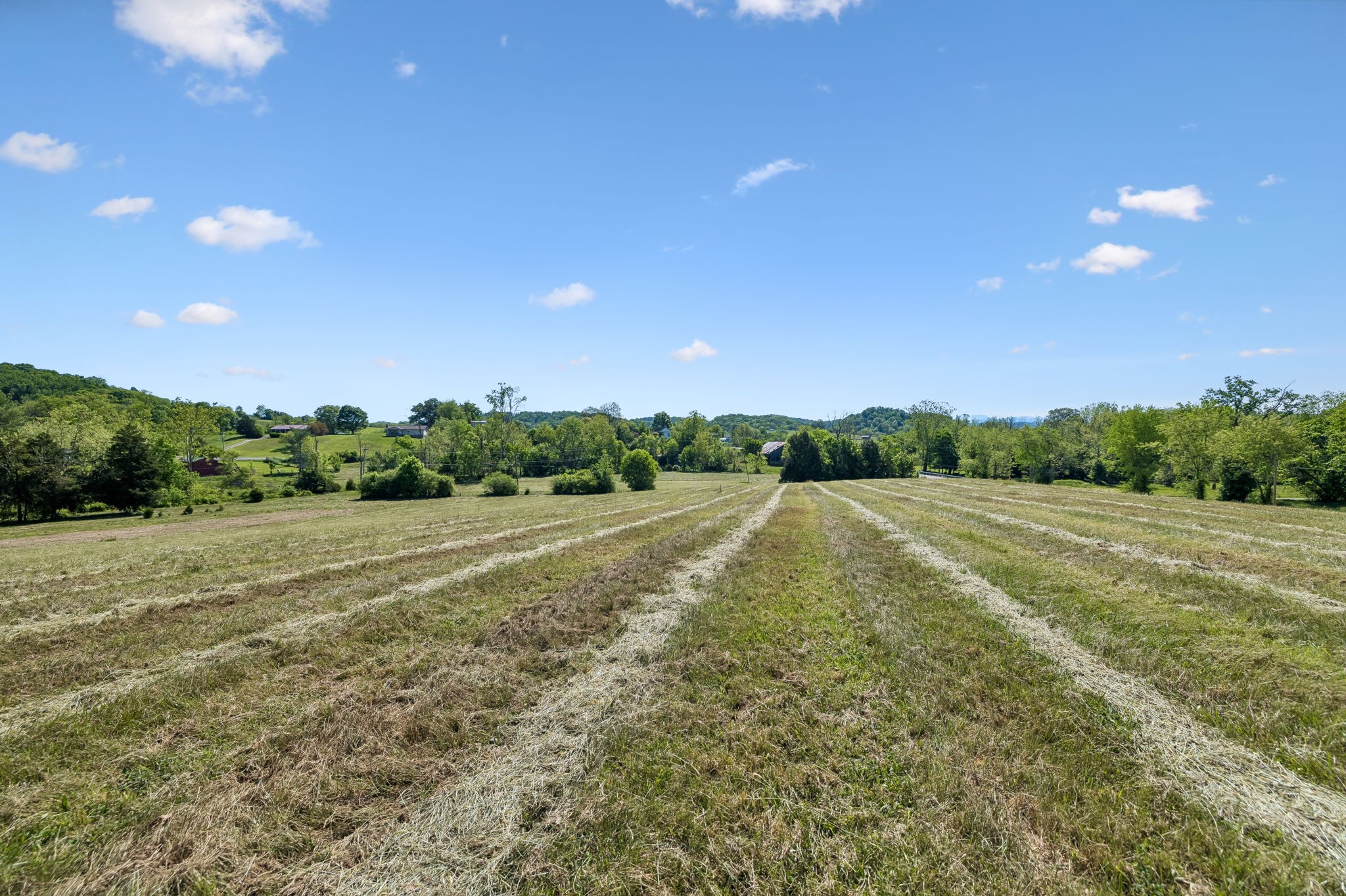 0 Glendale Road Jonesborough, TN 37659 - Photo 7 of 15 Gallery Image 7