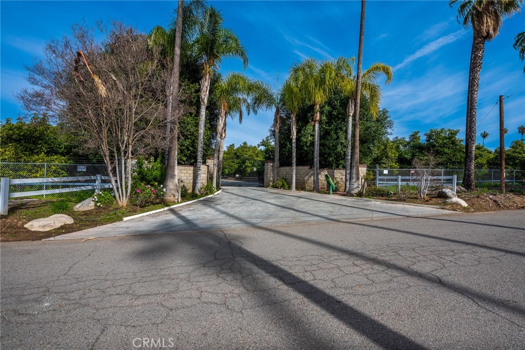 1413 Irving Street Riverside, CA 92504 - Photo 2 of 29 a view of a yard with palm tree