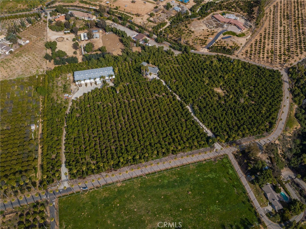 1413 Irving Street Riverside, CA 92504 - Photo 28 of 29 a view of a garden