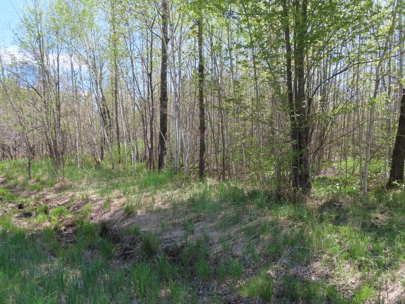 On Sand Lake Road, Unit 15 ACRES Crandon, WI 54520 - Photo 19 of 22 Gallery Image 19