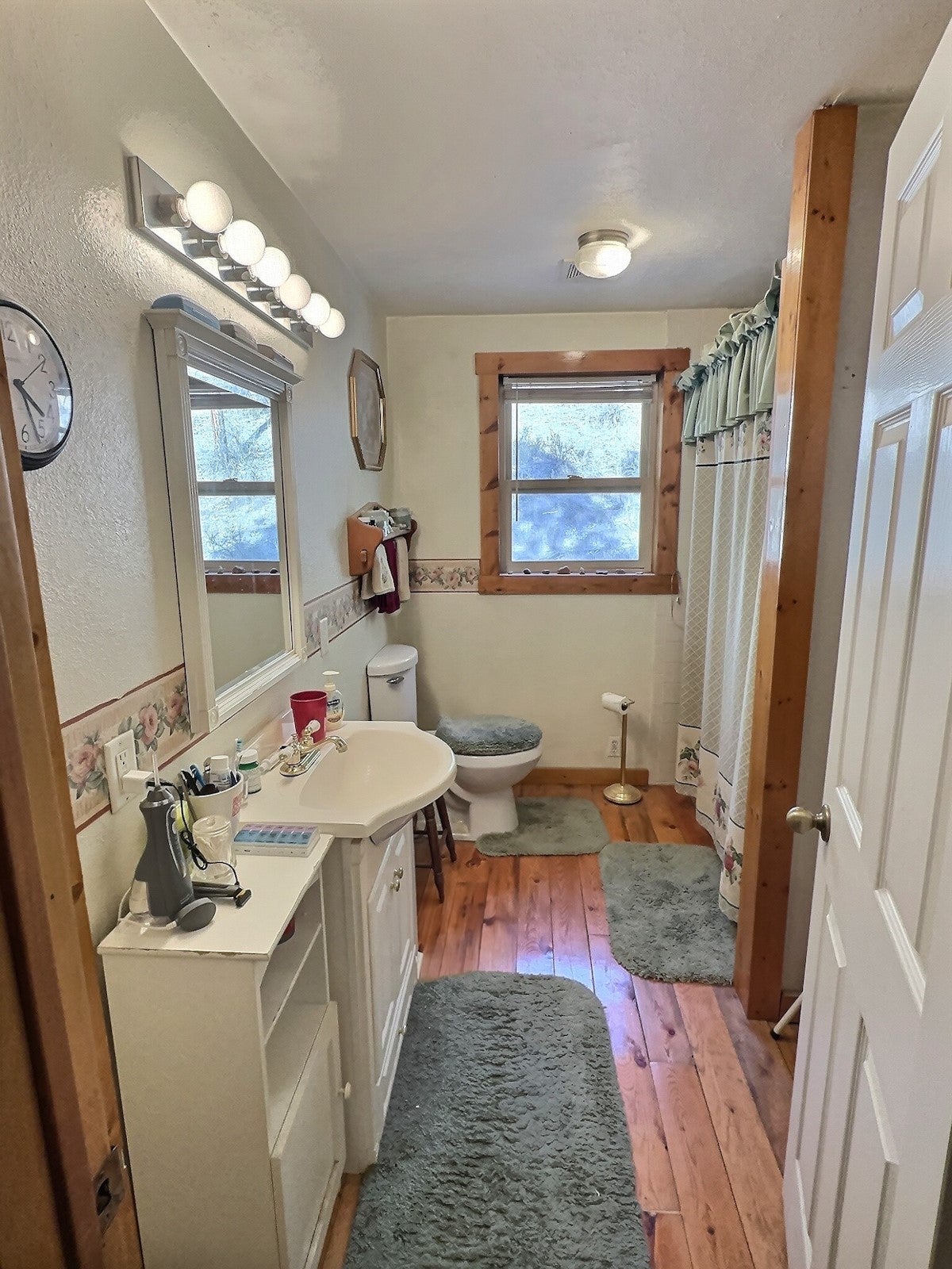 152 Buffalo Bill Road Plains, MT 59859 - Photo 37 of 71 Bathroom featuring hardwood / wood-style flooring, vanity, toilet, and a shower with shower curtain