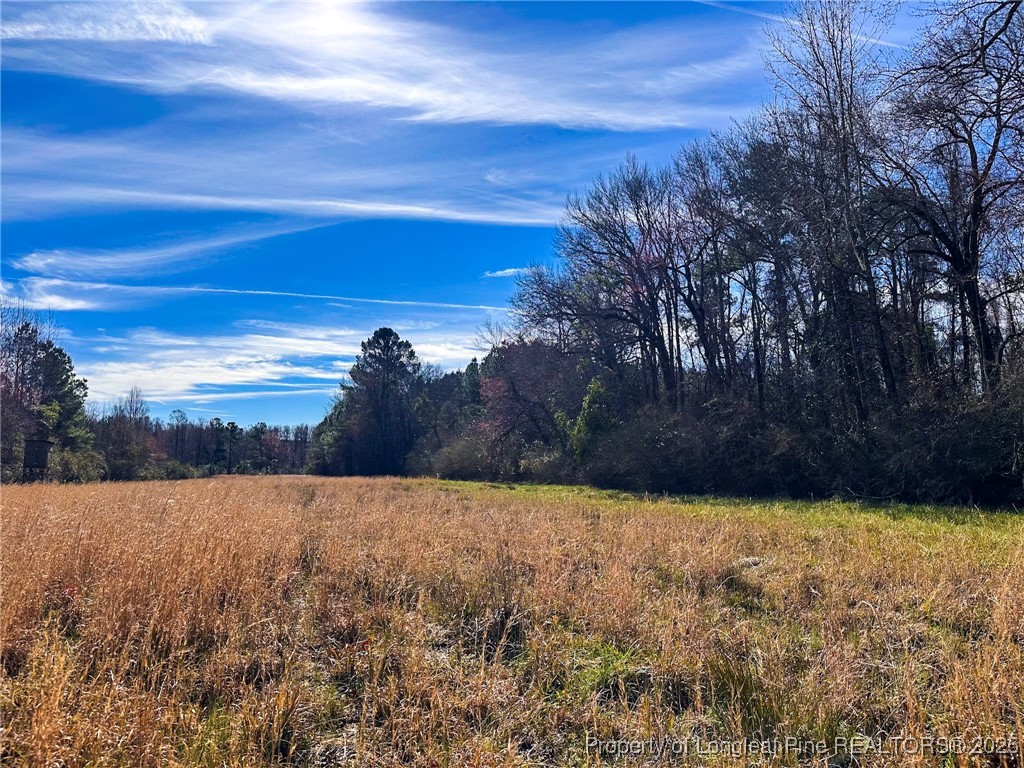 Tbd Snake Road Lumberton, NC 28358 - Photo 2 of 10