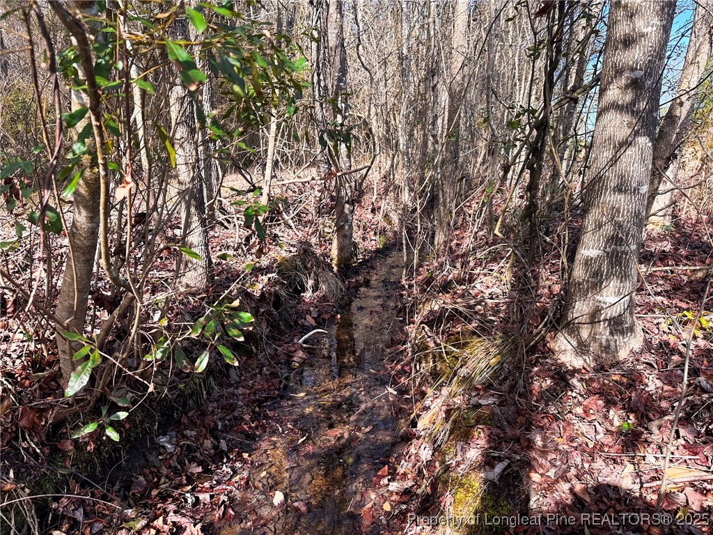 Tbd Snake Road Lumberton, NC 28358 - Photo 5 of 10