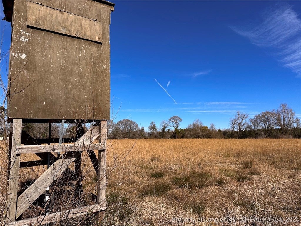 Tbd Snake Road Lumberton, NC 28358 - Photo 7 of 10