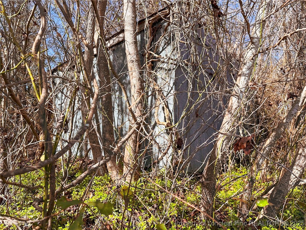 Tbd Snake Road Lumberton, NC 28358 - Photo 8 of 10