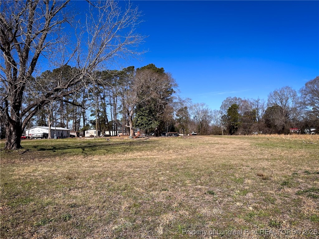 Tbd Snake Road Lumberton, NC 28358 - Photo 9 of 10