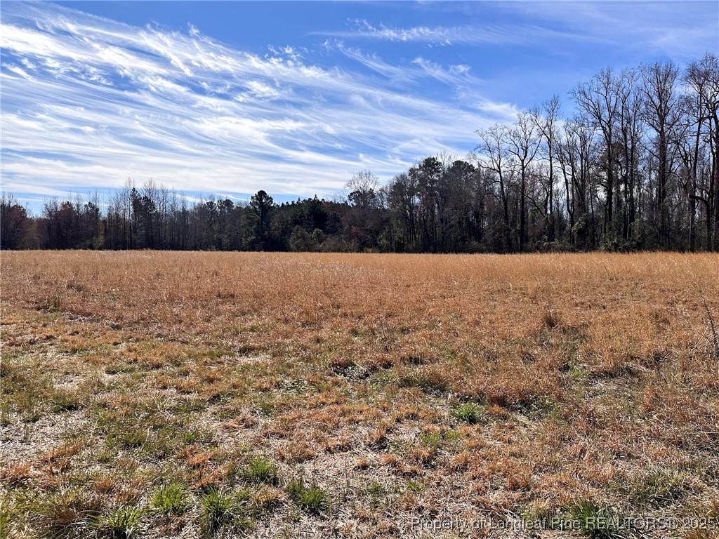 Tbd Snake Road Lumberton, NC 28358 - Photo 10 of 10