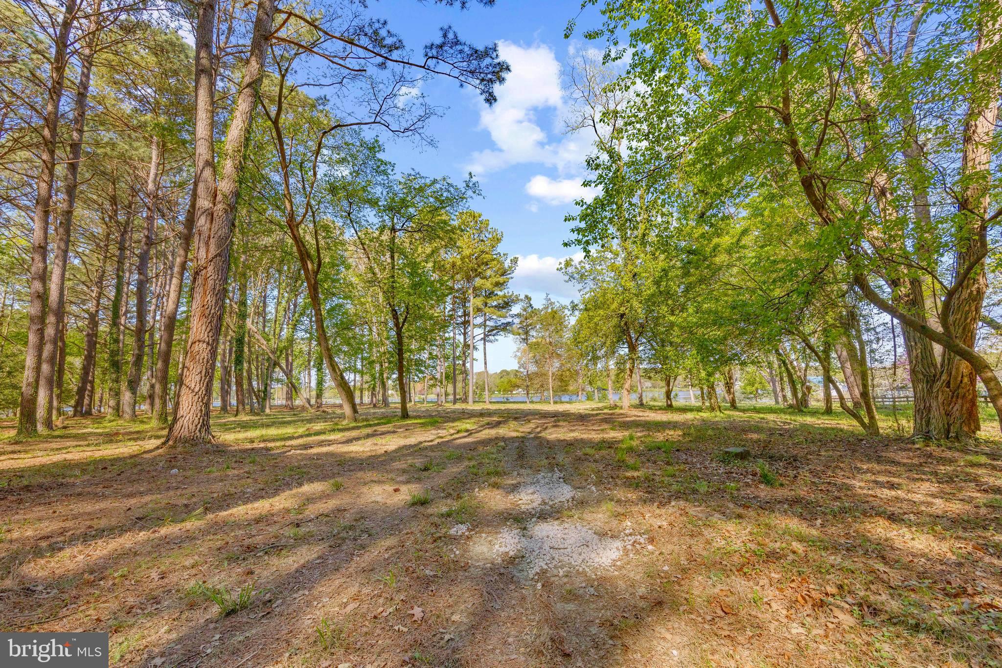 Travelers Rest Road Easton, MD 21601 - Photo 11 of 20 Private tree lined driveway to the water